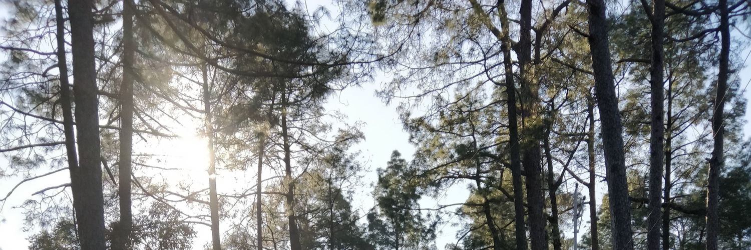 Witty_Brain's profile banner image