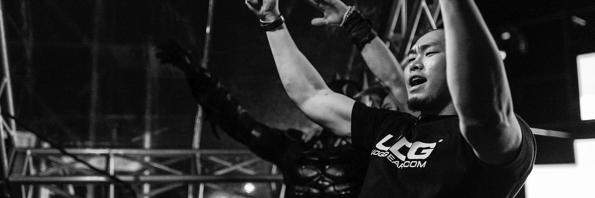 Bagagee Viphex13 banner