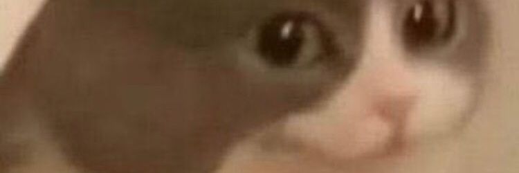 HotDadNoKids's profile banner image