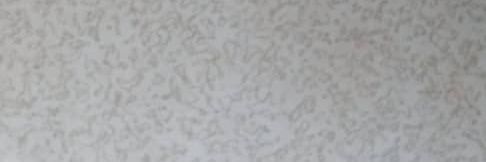general_raphael's profile banner image
