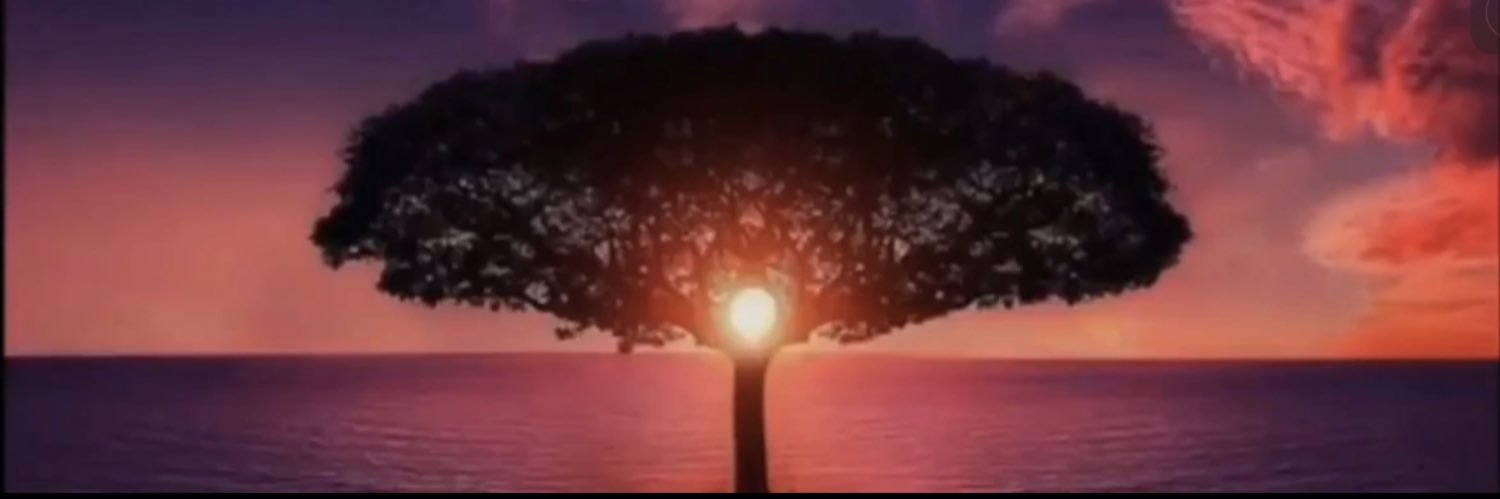 MikeILaria's profile banner image