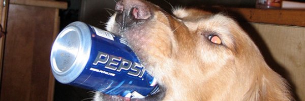 luxjii Profile Banner