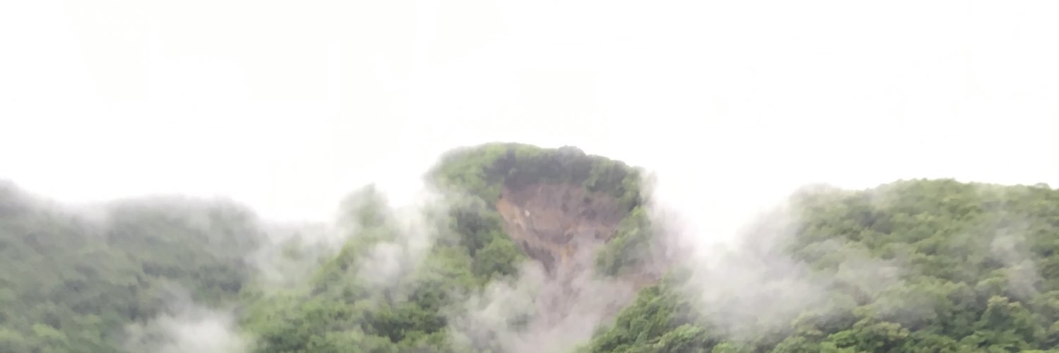 GucciDuck's profile banner image