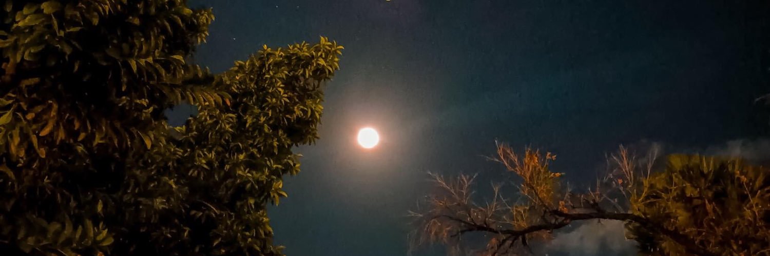 mahoooyi's profile banner image