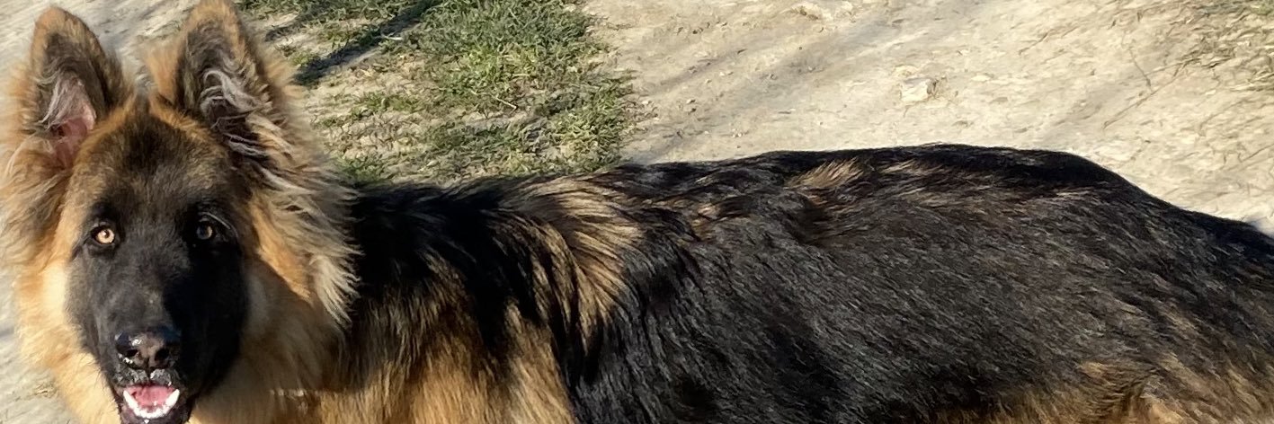 patrice34RN's profile banner image
