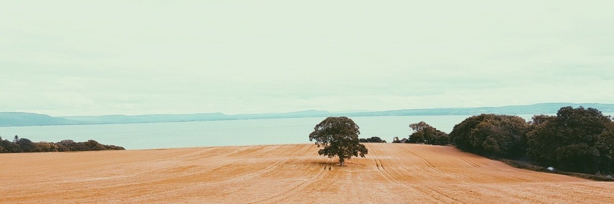 Micheál McLaughlin banner