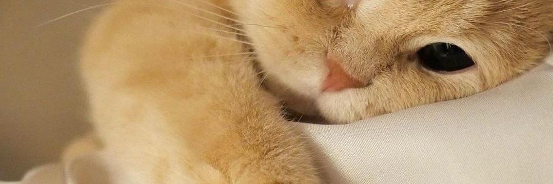 babaechxzz's profile banner image