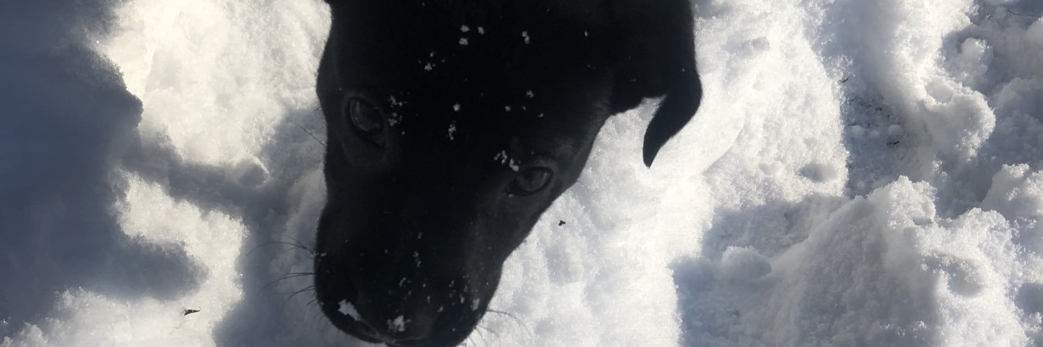 KaneEdenn_'s profile banner image