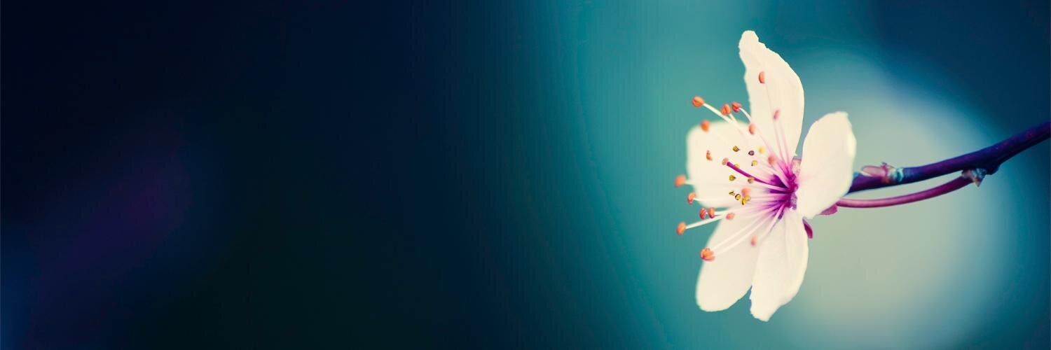 IevaRacika's profile banner image