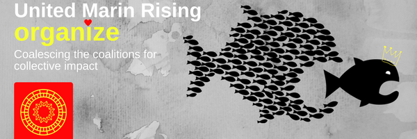 UntdMarinRising Profile Banner