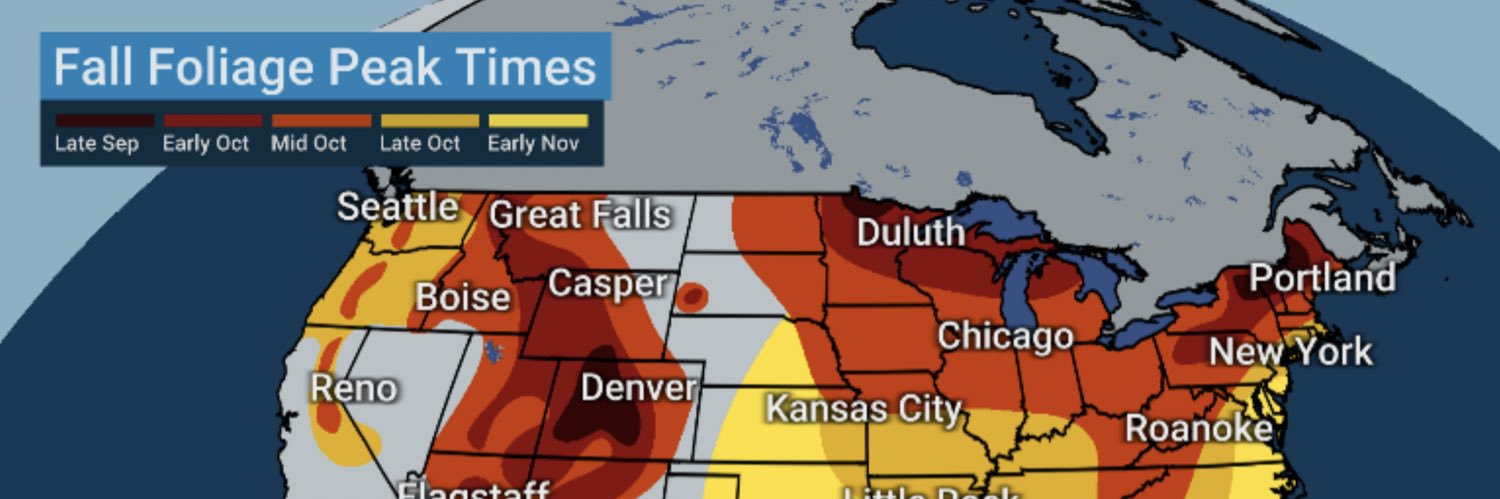 Real Dandy Dan banner