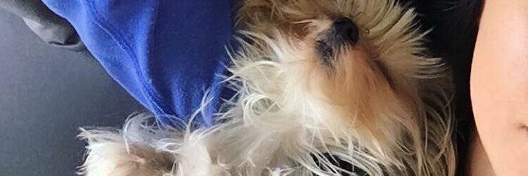 500daysofbella's profile banner image