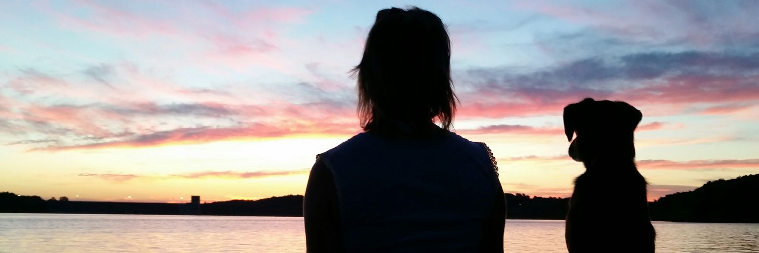 Brooklotze's profile banner image