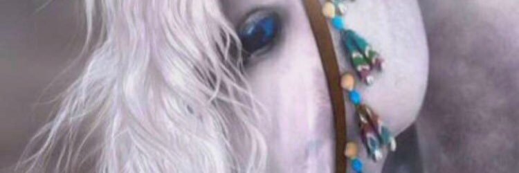 Reem8050's profile banner image