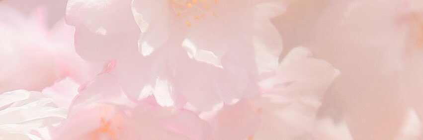 emerald_35's profile banner image