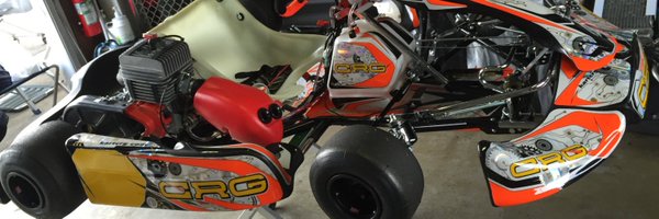 saniu Profile Banner