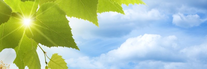 IdikDemet's profile banner image