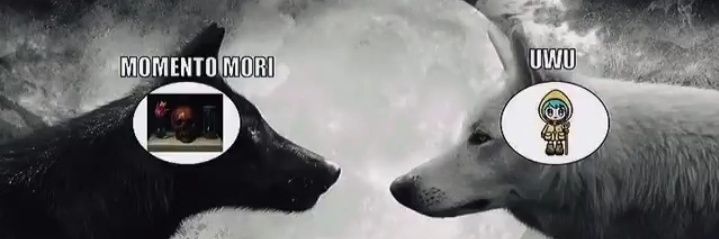 JuanPabloWGC's profile banner image