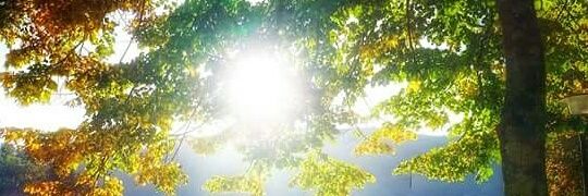 Aleandr21535933's profile banner image