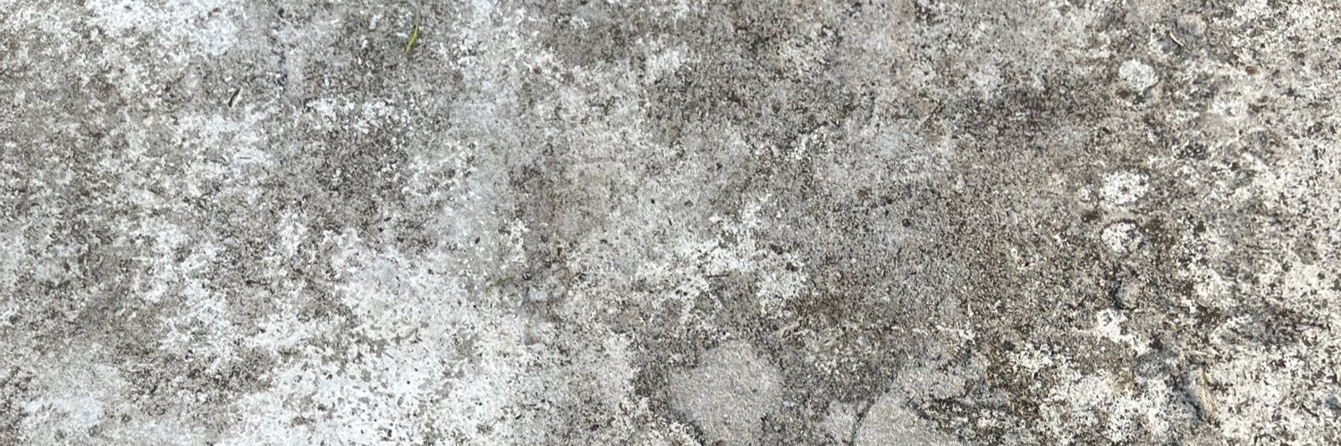 syhr's profile banner image