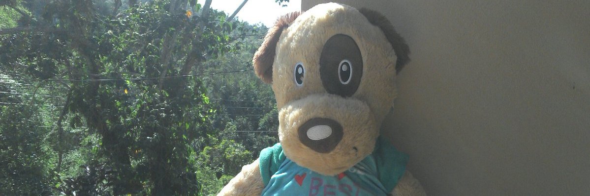 🌻Manuel Mercado🌻 banner