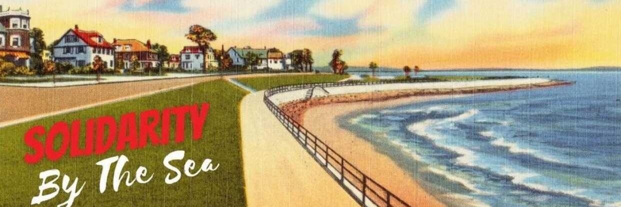 North Shore DSA banner
