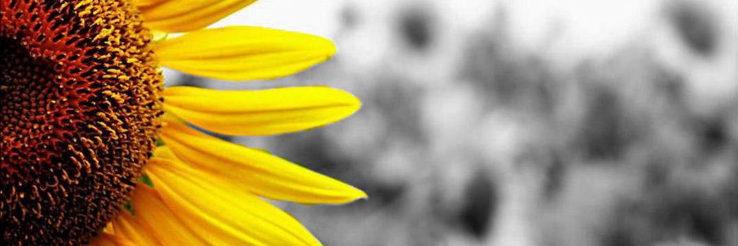 kat8387's profile banner image