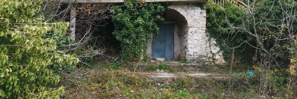 lost_andcrazy Profile Banner