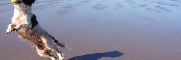 Nimblejacks Profile Banner