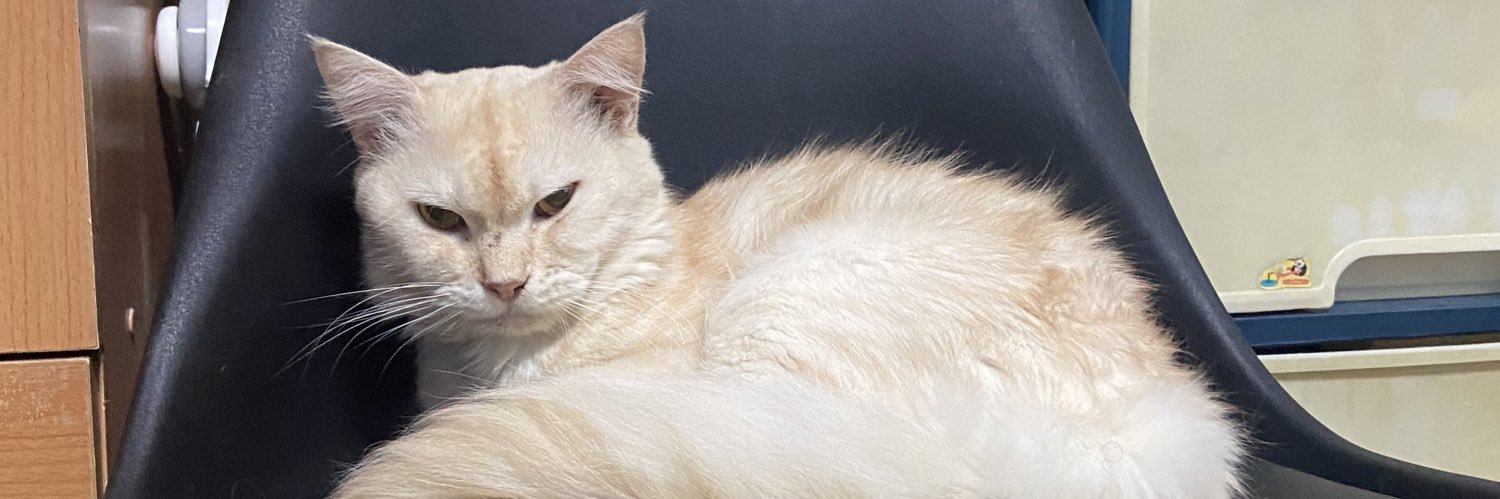 ความทรงจำ banner