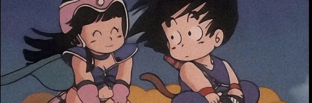 miguel banner