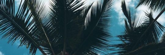 _lovelywriter's profile banner image