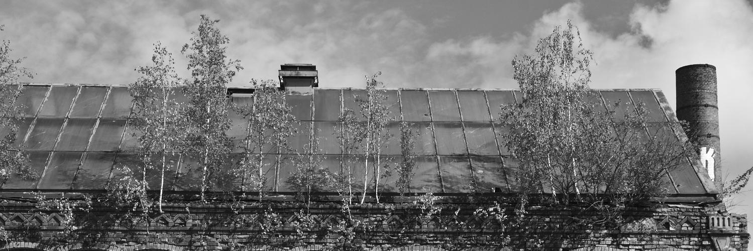 Peter Schmidtke (@pschmidtke@masto.ai) banner