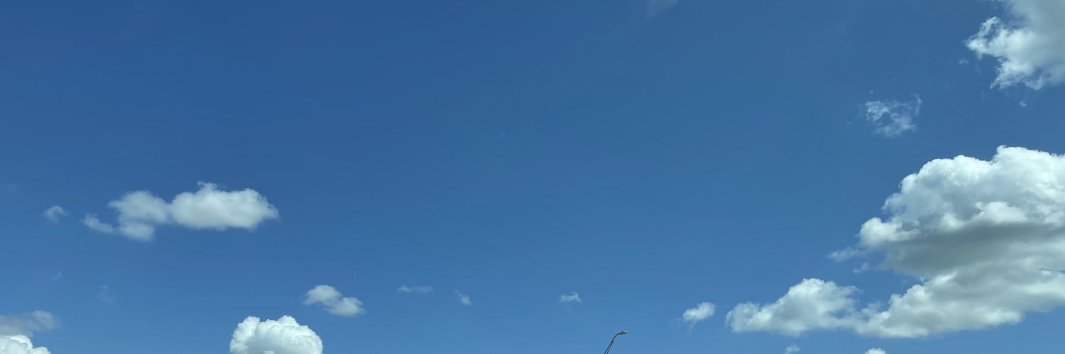 SlightStrider banner