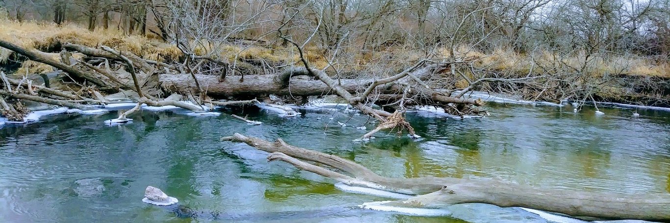 Terry Leonard banner