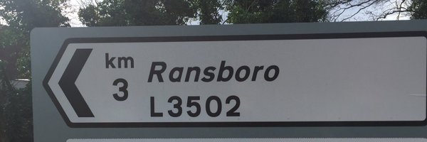 ransborodev Profile Banner
