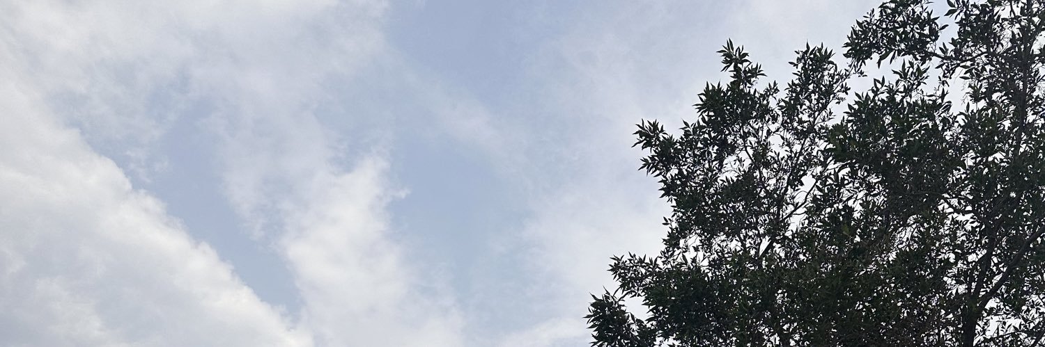 sms0om2011's profile banner image