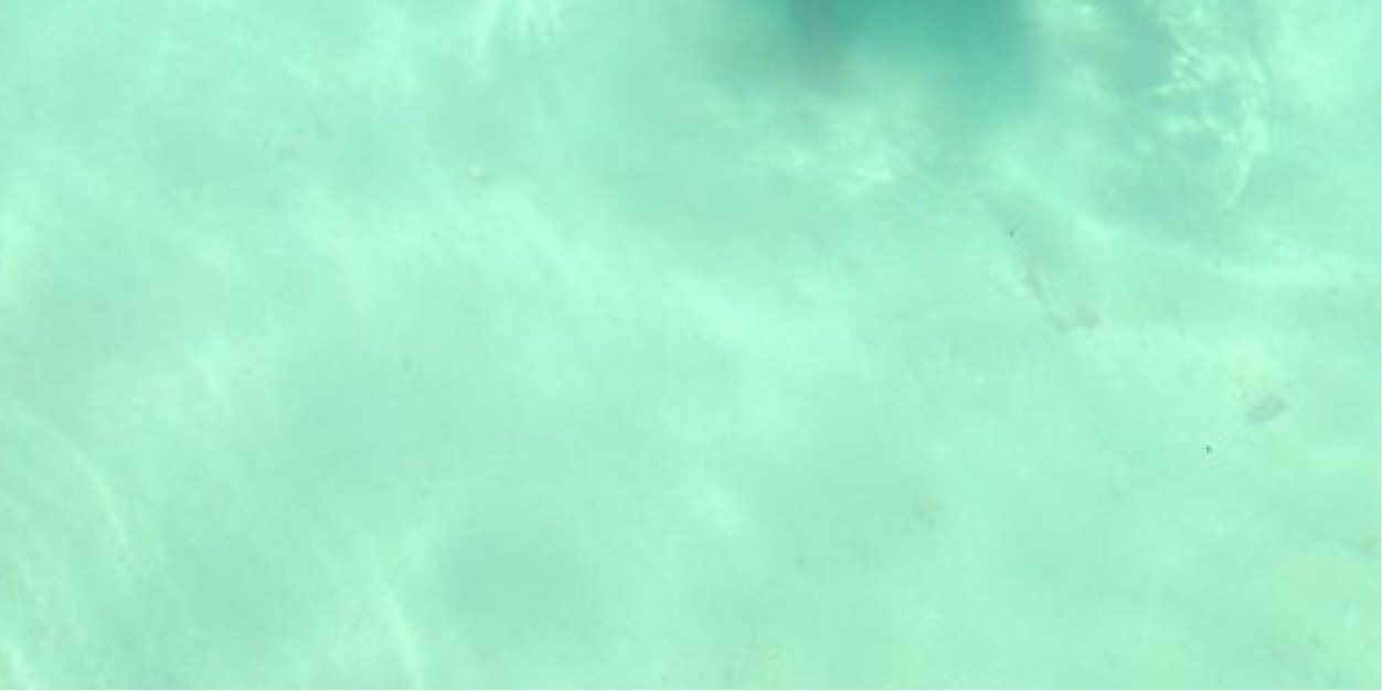 sandytehendy's profile banner image