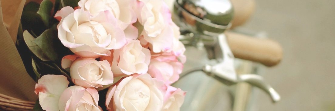 danielaromoz's profile banner image