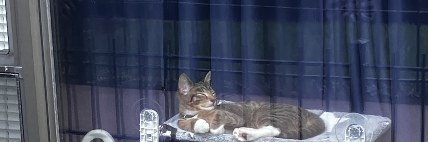 The Leave Britney Alone guy but for Lana banner