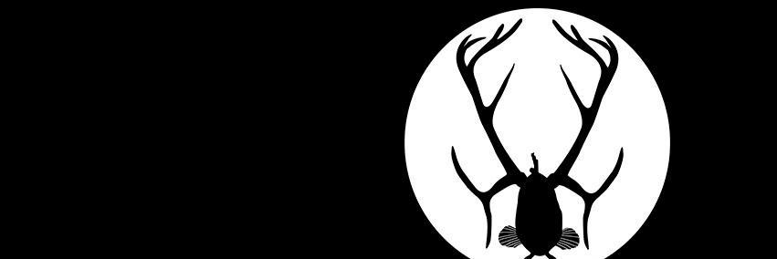 eevikinnunen's profile banner image
