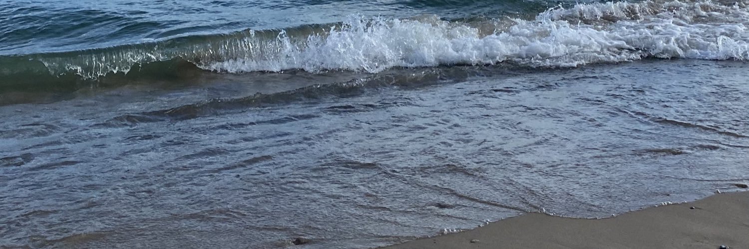 LA 🌈❣️⭐️🌕☀️💨💚 banner