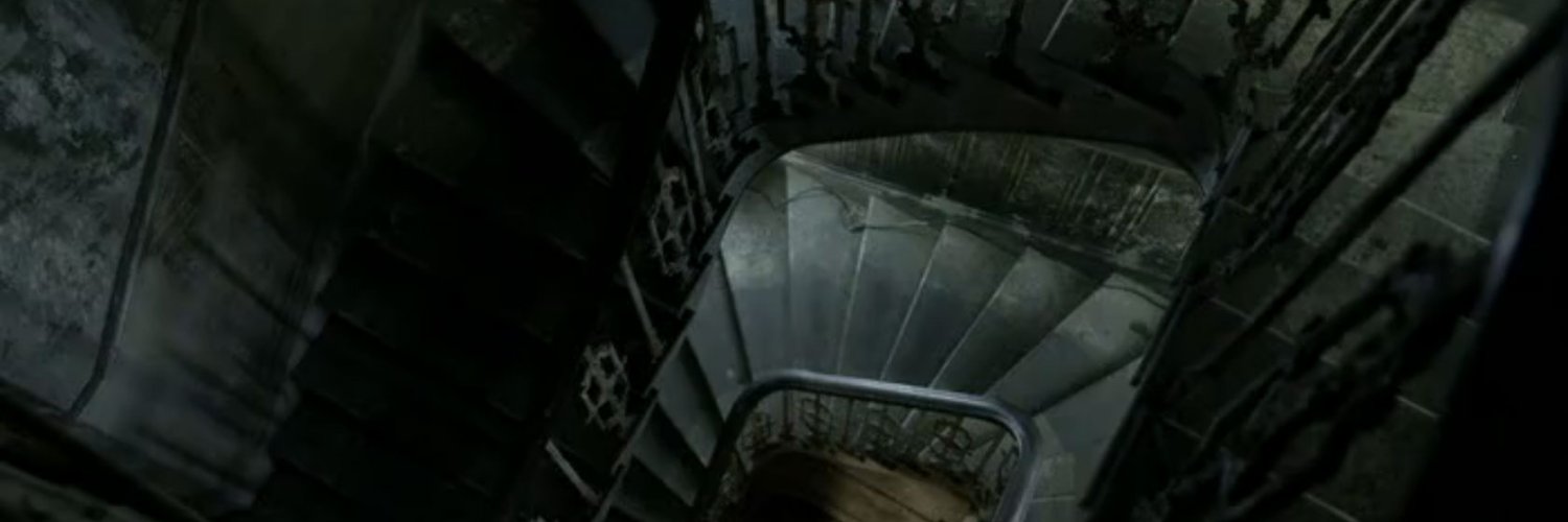LeilaGrBr's profile banner image