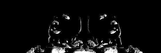 8bitpixeldomina's profile banner image
