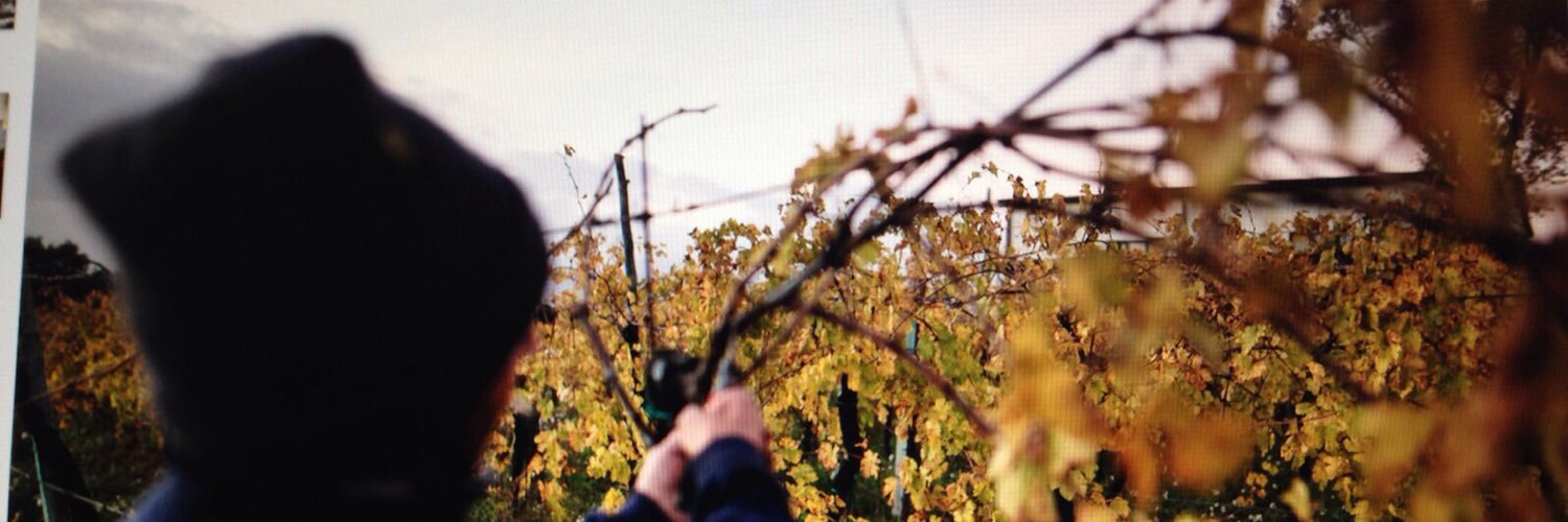 OCONEWINES's profile banner image