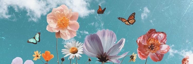 mirahusin's profile banner image