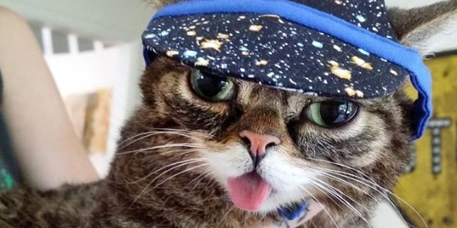 Domder_Mifflin's profile banner image