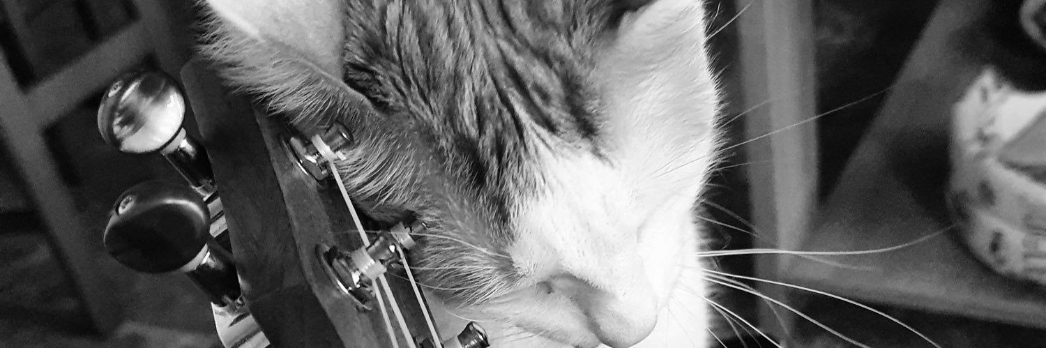 MiriammBG's profile banner image