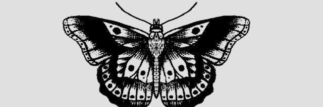 soofixlofi's profile banner image