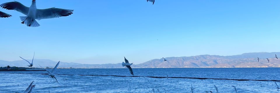 ukie_blues's profile banner image